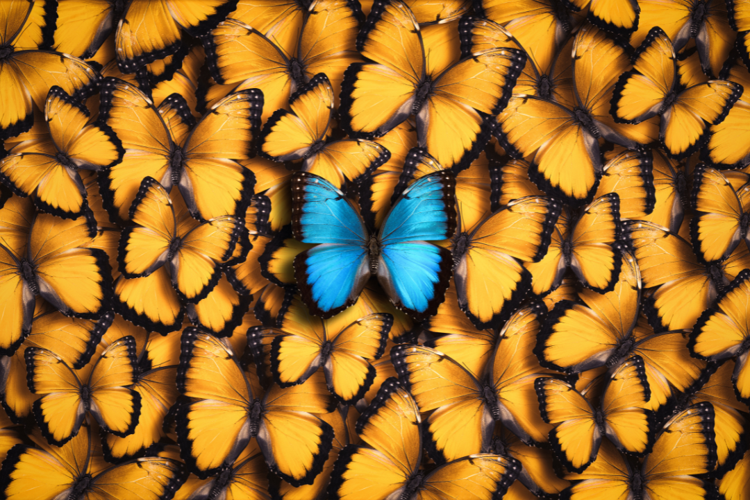 Maximising Opportunity: The Power of Negotiating an Exclusive Use Clause in Your Retail Lease